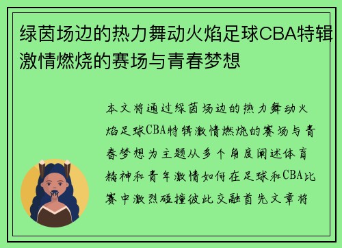 绿茵场边的热力舞动火焰足球CBA特辑激情燃烧的赛场与青春梦想