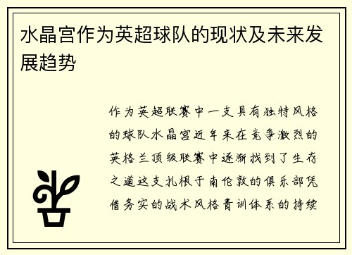 水晶宫作为英超球队的现状及未来发展趋势