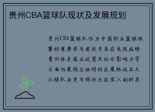 贵州CBA篮球队现状及发展规划